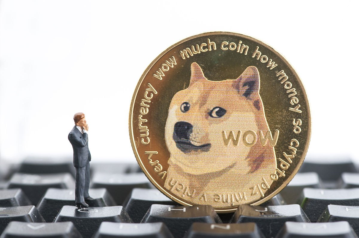 监管风暴来袭，狗狗币平台被临时暂停！